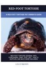 Lolly Brown - Red-Foot Tortoise