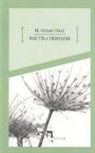 M. Orhan Okay - Poetika Dersleri