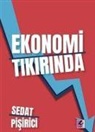 Sedat Pisirici - Ekonomi Tikirinda