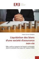 Kodjovi Germain Gbedjeha - Liquidation des biens d'une societé d'assurance non-vie