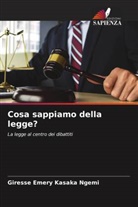 Giresse Emery Kasaka Ngemi - Cosa sappiamo della legge?