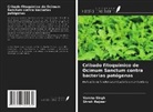 Shruti Rajwar, Varsha Singh - Cribado fitoquímico de Ocimum Sanctum contra bacterias patógenas