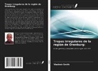 Vladimir Smith - Tropas irregulares de la región de Orenburg