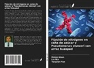 Mohiul Alam, Lin Min, Yonglian Yan - Fijación de nitrógeno en caña de azúcar y Pseudomonas stutzeri con arroz huésped