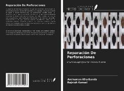 Rajnish Kansal, Anshuman Kharbanda - Reparación De Perforaciones - Utilizando Agregado De Trióxido Mineral