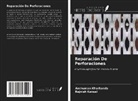 Rajnish Kansal, Anshuman Kharbanda - Reparación De Perforaciones