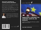 Ziya Bekir Bu¿Uçam, Ziya Bekir BUGUÇAM - PRINCIPIOS COMUNES DEL CONTROL JUDICIAL EN EUROPA