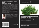 Zineb FASSI FIHRI - Estudio de los metabolitos volátiles de tres hepáticas de Córcega