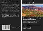 Sandra M. Nzamu, Bonheur N. Rugain, Arsène T. Sadiki - Datos geológicos del polígono minero de Nyamukubi