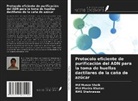 Mst Monira Khaton, Rms Shahnawas, Md Munan Shaik - Protocolo eficiente de purificación del ADN para la toma de huellas dactilares de la caña de azúcar