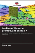 Emese Rigo - La dém-o(il)-cratie promouvant en Irak ?