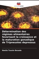 Angie Annabel Mendoza Moreira, Noelia Tourón Besada - Détermination des régimes alimentaires favorisant la croissance et la maturation gonadique de Tripneustes depressus