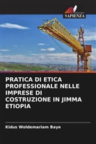 Kidus Woldemariam Baye - PRATICA DI ETICA PROFESSIONALE NELLE IMPRESE DI COSTRUZIONE IN JIMMA ETIOPIA