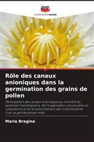 Maria Bragina - Rôle des canaux anioniques dans la germination des grains de pollen