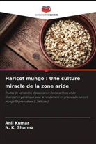 Anil Kumar, N. K. Sharma - Haricot mungo : Une culture miracle de la zone aride