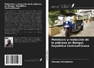 Georges Andjipakoto - Mototaxis y reducción de la pobreza en Bangui, República Centroafricana