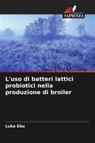Luka Ebu, Abimbola Orukotan, Joseph Wartu - L'uso di batteri lattici probiotici nella produzione di broiler