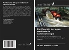 Heba Mohamed El Saied - Purificación del agua mediante la nanotecnología