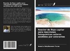 Ismaila Abdulkareem Yunus - Reactor de flujo capilar para reacciones fotoquímicas solares asistidas por colorantes