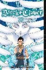 Yuki Tabata, Yuki Tabata - Black Clover 30