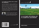 Patrick Banza - La ecología microbiana de la ciudad de Lubumbashi