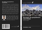 Salmabanu Luhar - Hormigón de geopolímero cauchutado