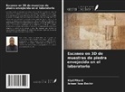 Ismael Issa Béchir, Klyd Pitard - Escaneo en 3D de muestras de piedra envejecida en el laboratorio