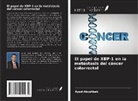 Ayed Abushbak - El papel de XBP-1 en la metástasis del cáncer colorrectal