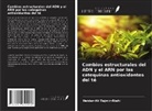 Heidar-Ali Tajmir-Riahi - Cambios estructurales del ADN y el ARN por las catequinas antioxidantes del té