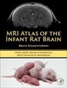 Dusica Bajic, Dusica (Department of Anesthesiology Bajic, Devon Evanovich, Devon (Department of Anesthesiology Evanovich, Chandler Mongerson, Chandler (Department of Anesthesiology Mongerson - Mri Atlas of the Infant Rat Brain