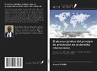Arnold Niemba - El alcance jurídico del principio de precaución en el derecho internacional