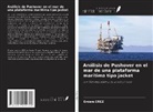Erdem EREZ - Análisis de Pushover en el mar de una plataforma marítima tipo jacket
