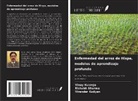 Virender Kadyan, Vinay Kukreja, Rishabh Sharma - Enfermedad del arroz de Hispa, modelos de aprendizaje profundo