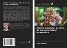 Silvy Mathew - Alpinia calcarata: La mina de oro de la futura terapéutica