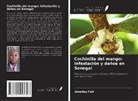 Amadou Fall, Mady Ndiaye, Mamour Toure - Cochinilla del mango: infestación y daños en Senegal