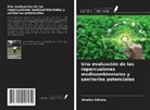 Khetho Sithole - Una evaluación de las repercusiones medioambientales y sanitarias potenciales