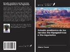 Abou Baye Ba, Nouhoum Ongoïba, Adama Traore - Estudio anatómico de los nervios ilio-hipogástricos e ilio-inguinales
