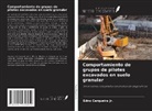 Edno Cerqueira Jr. - Comportamiento de grupos de pilotes excavados en suelo granular