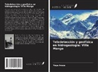 Yaya Inoua - Teledetección y geofísica en hidrogeología: Ville Mongo