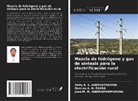 José M. M. ANDRIAMAMPIANINA, Dolly A. S. ANDRIATOAVINA, Damien A. H. FAKRA - Mezcla de hidrógeno y gas de síntesis para la electrificación rural