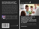 Ahmed Rehan - Un panorama sobre la sustitución de los combustibles fósiles por bioenergías alternativas en Egipto