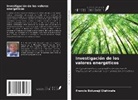 Francis Boluwaji Elehinafe - Investigación de los valores energéticos