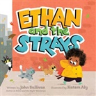 John Sullivan, Hatem Aly, Aly Hatem - Ethan and the Strays