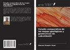 Bernard Musafiri Pauni - Estudio comparativo de los mapas geológicos y geotécnicos de Lubumbashi