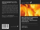 Eduardo Branco, Jerônimo Silva - ADAPTACIÓN DE FLANGAS EN PISCINAS TUBULARES PROFUNDAS - Departamento de Bomberos