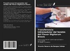 Ricardo Becerro de Bengoa Vallejo - Transferencia intramedular del tendón del Flexor Digitorum Brevis