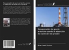 Ehsan Javadi Shokroo - Recuperación de gas de antorcha usando la adsorción de oscilación de presión