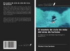Myriam Cruz Santana - El modelo de ciclo de vida del área de turismo