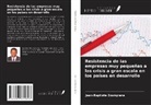 Jean-Baptiste Zoungrana - Resistencia de las empresas muy pequeñas a las crisis a gran escala en los países en desarrollo