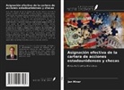 Jan Minar - Asignación efectiva de la cartera de acciones estadounidenses y checas